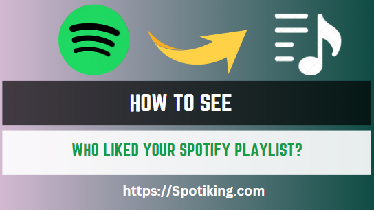 How To See Who Liked Your Spotify Playlist?