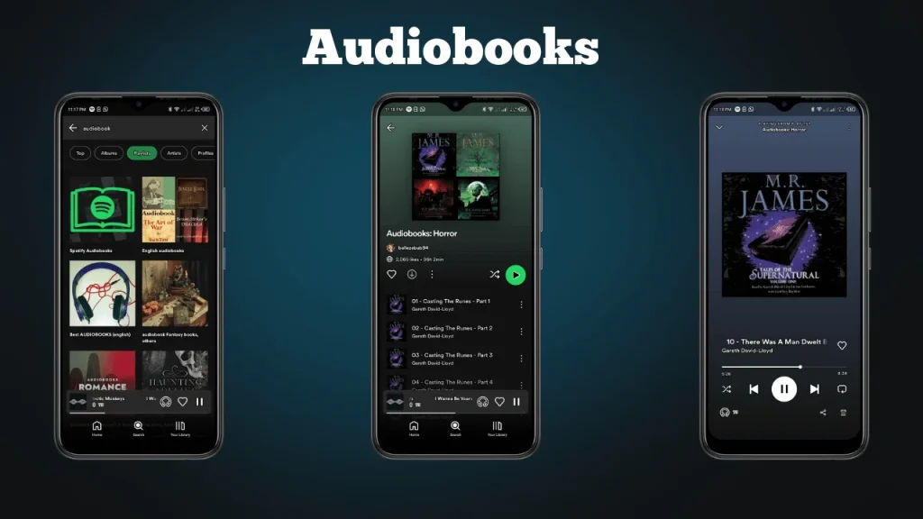 Spotify Audio Books